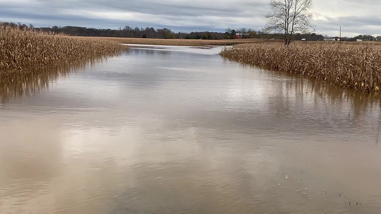 Culpeper Rainfall Flooding - Video 2/5